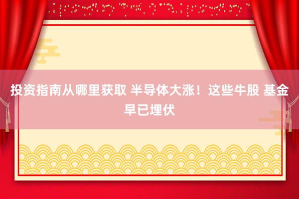 投资指南从哪里获取 半导体大涨！这些牛股 基金早已埋伏