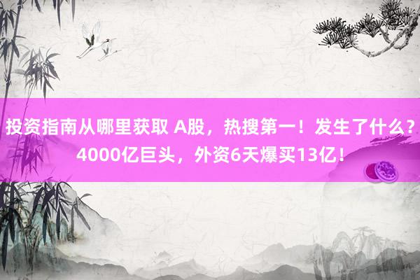 投资指南从哪里获取 A股，热搜第一！发生了什么？4000亿巨头，外资6天爆买13亿！