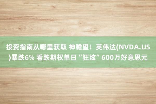 投资指南从哪里获取 神瞻望！英伟达(NVDA.US)暴跌6% 看跌期权单日“狂炫”600万好意思元