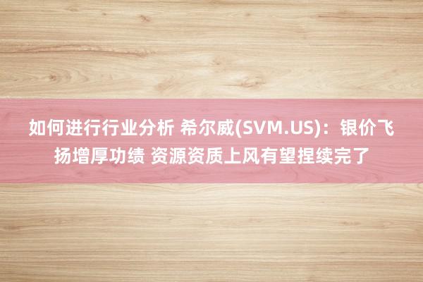 如何进行行业分析 希尔威(SVM.US)：银价飞扬增厚功绩 资源资质上风有望捏续完了