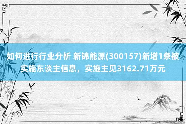 如何进行行业分析 新锦能源(300157)新增1条被实施东谈主信息，实施主见3162.71万元