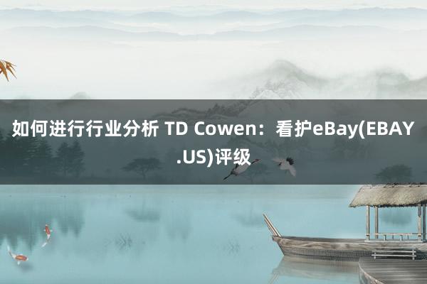 如何进行行业分析 TD Cowen：看护eBay(EBAY.US)评级