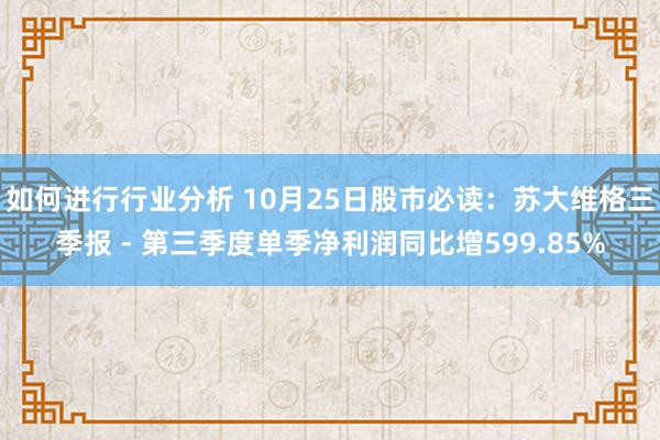 如何进行行业分析 10月25日股市必读：苏大维格三季报 - 第三季度单季净利润同比增599.85%