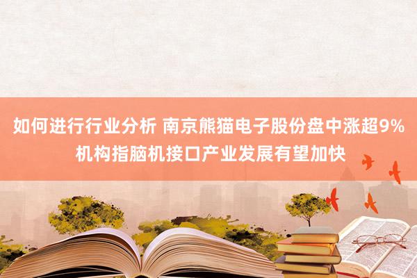 如何进行行业分析 南京熊猫电子股份盘中涨超9% 机构指脑机接口产业发展有望加快