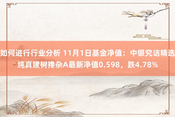 如何进行行业分析 11月1日基金净值：中银究诘精选纯真建树搀杂A最新净值0.598，跌4.78%