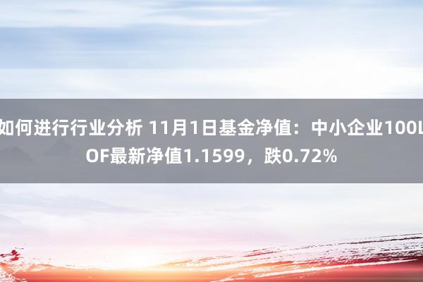 如何进行行业分析 11月1日基金净值：中小企业100LOF最新净值1.1599，跌0.72%