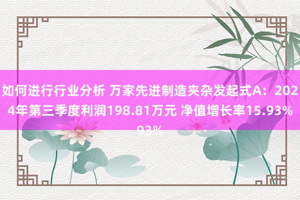 如何进行行业分析 万家先进制造夹杂发起式A：2024年第三季度利润198.81万元 净值增长率15.93%