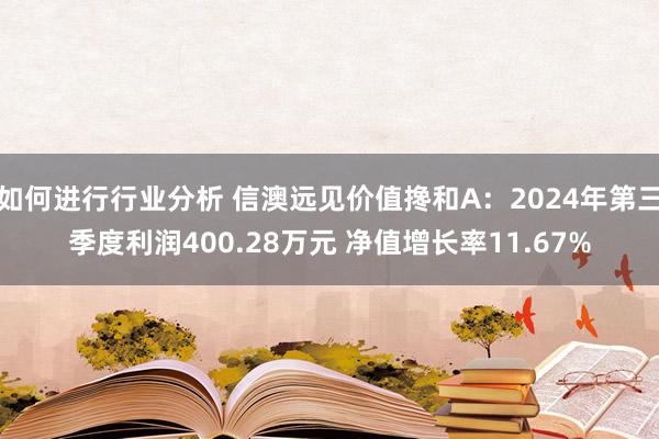 如何进行行业分析 信澳远见价值搀和A：2024年第三季度利润400.28万元 净值增长率11.67%