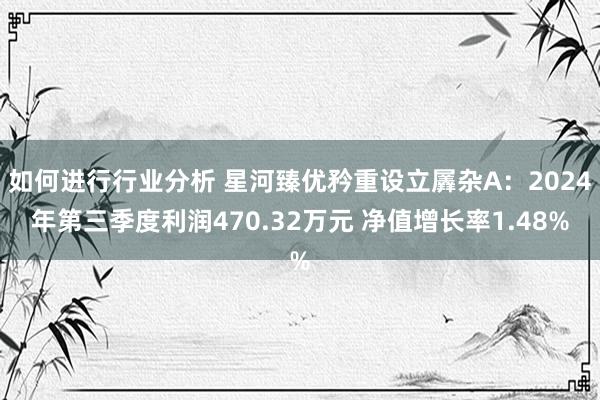 如何进行行业分析 星河臻优矜重设立羼杂A：2024年第三季度利润470.32万元 净值增长率1.48%