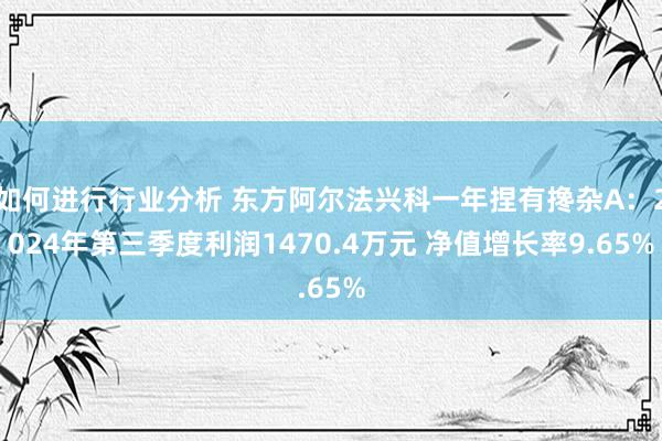 如何进行行业分析 东方阿尔法兴科一年捏有搀杂A：2024年第三季度利润1470.4万元 净值增长率9.65%