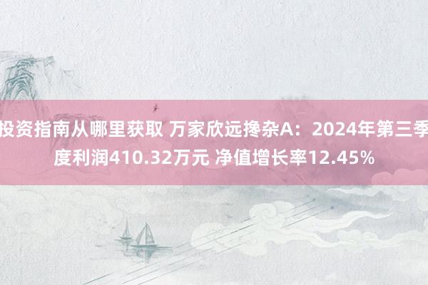 投资指南从哪里获取 万家欣远搀杂A：2024年第三季度利润410.32万元 净值增长率12.45%