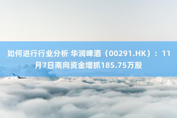 如何进行行业分析 华润啤酒（00291.HK）：11月7日南向资金增抓185.75万股