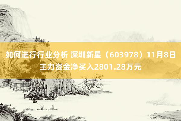 如何进行行业分析 深圳新星（603978）11月8日主力资金净买入2801.28万元