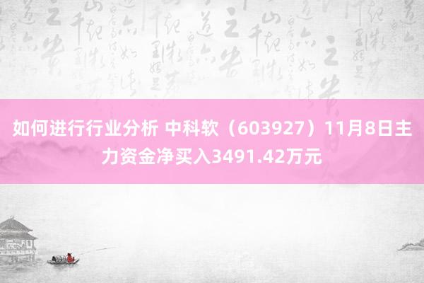 如何进行行业分析 中科软（603927）11月8日主力资金净买入3491.42万元