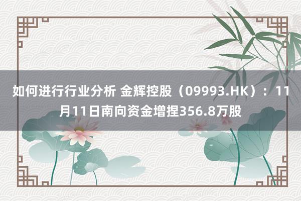 如何进行行业分析 金辉控股（09993.HK）：11月11日南向资金增捏356.8万股