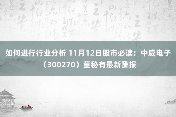 如何进行行业分析 11月12日股市必读：中威电子（300270）董秘有最新酬报