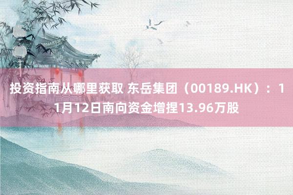 投资指南从哪里获取 东岳集团（00189.HK）：11月12日南向资金增捏13.96万股