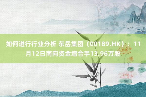 如何进行行业分析 东岳集团（00189.HK）：11月12日南向资金增合手13.96万股