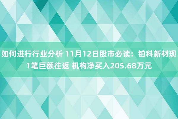 如何进行行业分析 11月12日股市必读：铂科新材现1笔巨额往返 机构净买入205.68万元