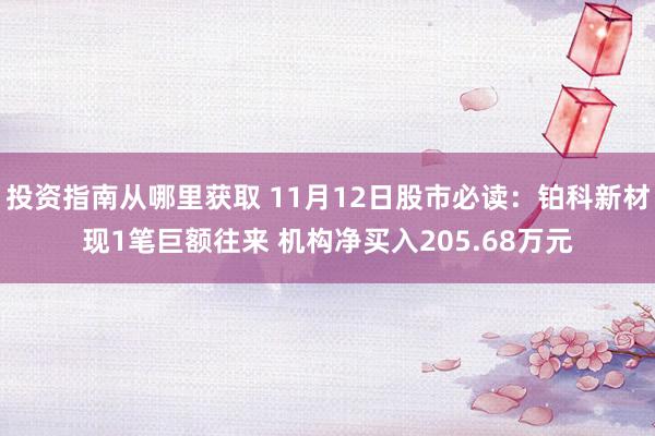 投资指南从哪里获取 11月12日股市必读：铂科新材现1笔巨额往来 机构净买入205.68万元