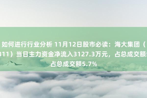 如何进行行业分析 11月12日股市必读：海大集团（002311）当日主力资金净流入3127.3万元，占总成交额5.7%