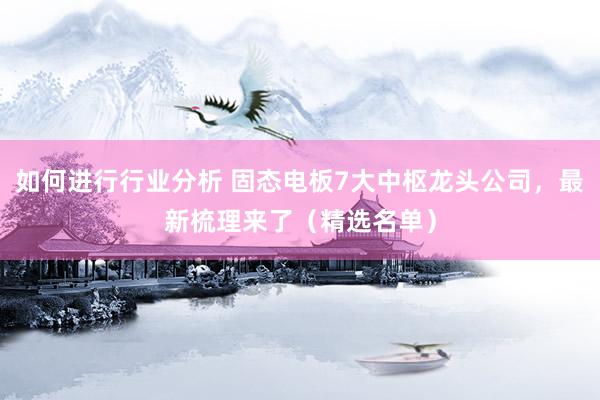 如何进行行业分析 固态电板7大中枢龙头公司，最新梳理来了（精选名单）