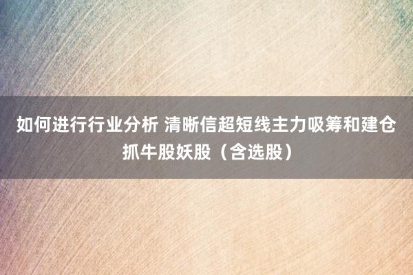 如何进行行业分析 清晰信超短线主力吸筹和建仓抓牛股妖股（含选股）