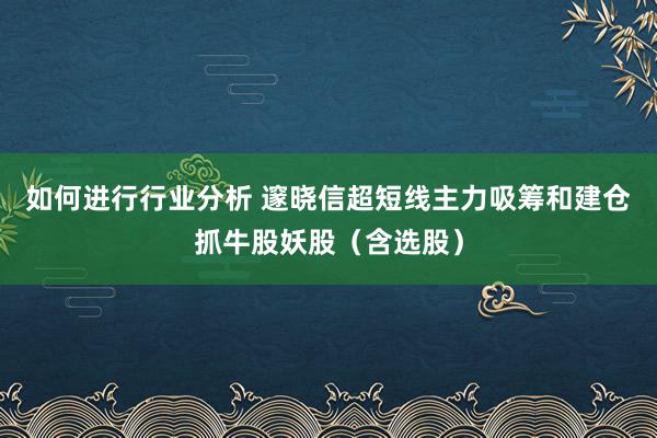 如何进行行业分析 邃晓信超短线主力吸筹和建仓抓牛股妖股（含选股）