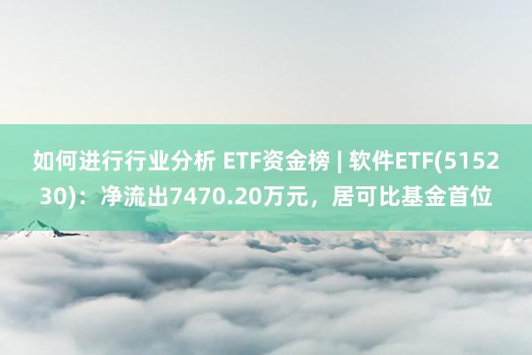 如何进行行业分析 ETF资金榜 | 软件ETF(515230)：净流出7470.20万元，居可比基金首位