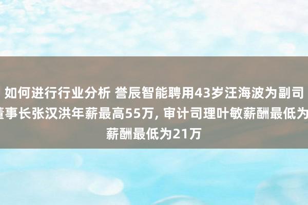 如何进行行业分析 誉辰智能聘用43岁汪海波为副司理, 董事长张汉洪年薪最高55万, 审计司理叶敏薪酬最低为21万