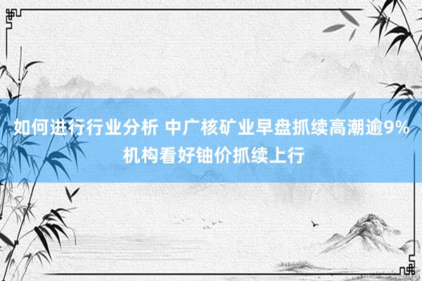 如何进行行业分析 中广核矿业早盘抓续高潮逾9% 机构看好铀价抓续上行