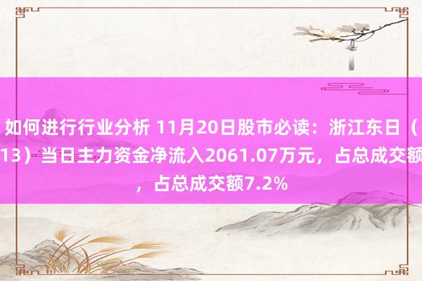 如何进行行业分析 11月20日股市必读：浙江东日（600113）当日主力资金净流入2061.07万元，占总成交额7.2%