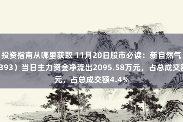 投资指南从哪里获取 11月20日股市必读：新自然气（603393）当日主力资金净流出2095.58万元，占总成交额4.4%