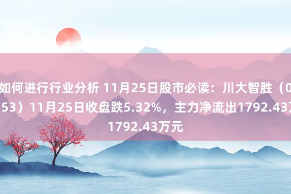 如何进行行业分析 11月25日股市必读：川大智胜（002253）11月25日收盘跌5.32%，主力净流出1792.43万元