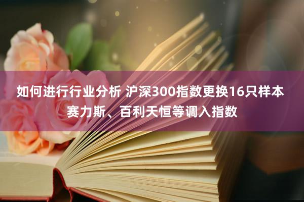 如何进行行业分析 沪深300指数更换16只样本 赛力斯、百利天恒等调入指数