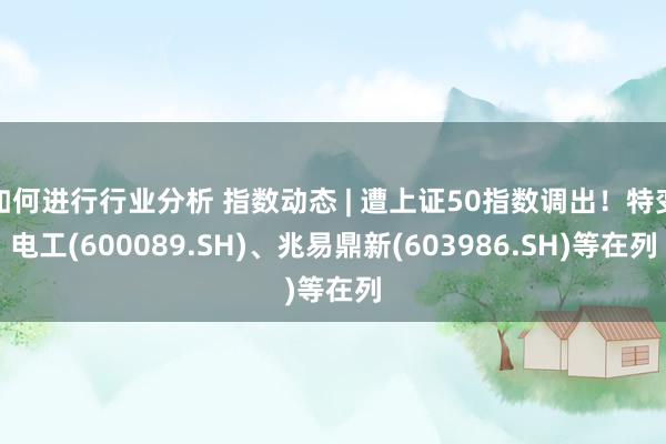 如何进行行业分析 指数动态 | 遭上证50指数调出！特变电工(600089.SH)、兆易鼎新(603986.SH)等在列