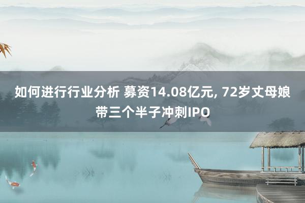 如何进行行业分析 募资14.08亿元, 72岁丈母娘带三个半子冲刺IPO