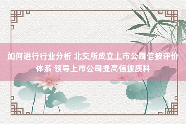 如何进行行业分析 北交所成立上市公司信披评价体系 领导上市公司提高信披质料