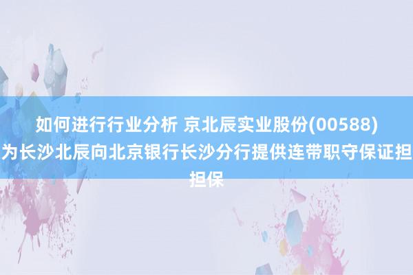 如何进行行业分析 京北辰实业股份(00588)拟为长沙北辰向北京银行长沙分行提供连带职守保证担保