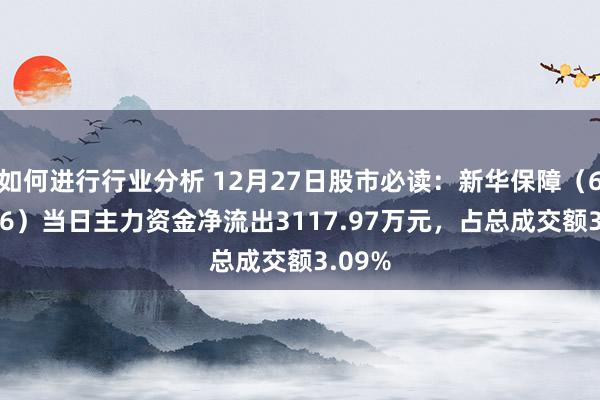 如何进行行业分析 12月27日股市必读：新华保障（601336）当日主力资金净流出3117.97万元，占总成交额3.09%