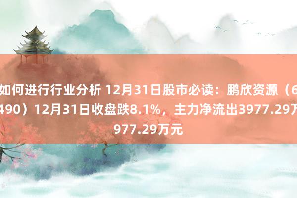 如何进行行业分析 12月31日股市必读：鹏欣资源（600490）12月31日收盘跌8.1%，主力净流出3977.29万元