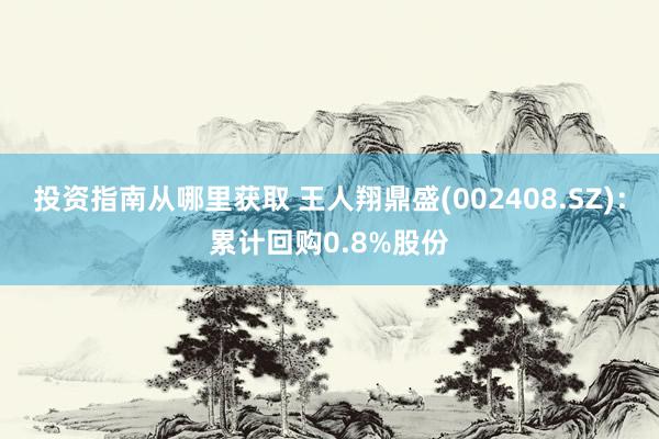 投资指南从哪里获取 王人翔鼎盛(002408.SZ)：累计回购0.8%股份