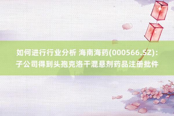 如何进行行业分析 海南海药(000566.SZ)：子公司得到头孢克洛干混悬剂药品注册批件