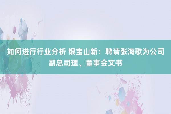 如何进行行业分析 银宝山新：聘请张海歌为公司副总司理、董事会文书