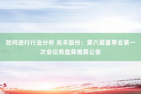 如何进行行业分析 兆丰股份：第六届董事会第一次会议有盘算推算公告