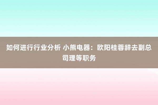 如何进行行业分析 小熊电器：欧阳桂蓉辞去副总司理等职务