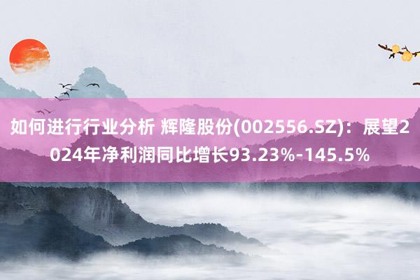 如何进行行业分析 辉隆股份(002556.SZ)：展望2024年净利润同比增长93.23%-145.5%