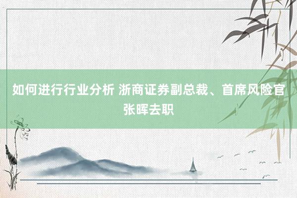 如何进行行业分析 浙商证券副总裁、首席风险官张晖去职