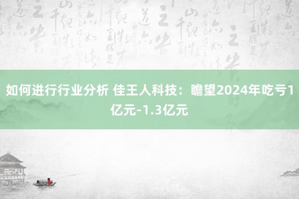 如何进行行业分析 佳王人科技：瞻望2024年吃亏1亿元-1.3亿元