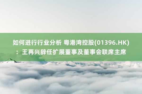 如何进行行业分析 粤港湾控股(01396.HK)：王再兴辞任扩展董事及董事会联席主席